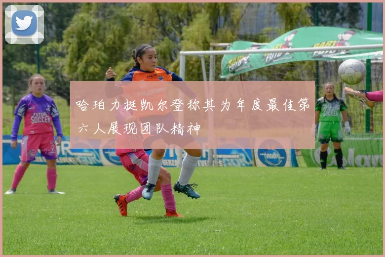 哈珀力挺凯尔登称其为年度最佳第六人展现团队精神