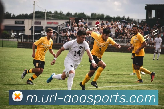 AOA体育APP 封面图